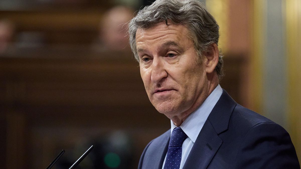 El presidente del PP, Alberto Núñez Feijóo.