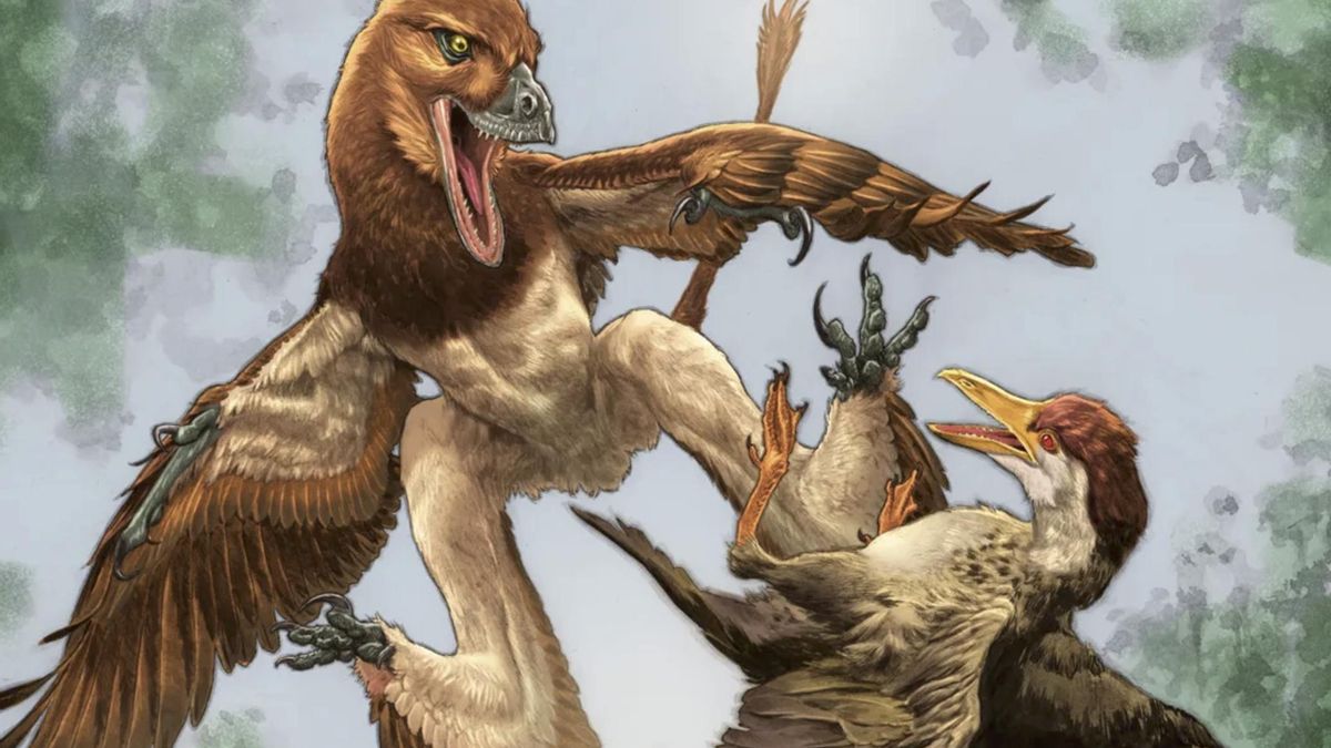El nuevo pariente del velociraptor tenía cuatro alas funcionales y acerca una explicación para la evolución del vuelo