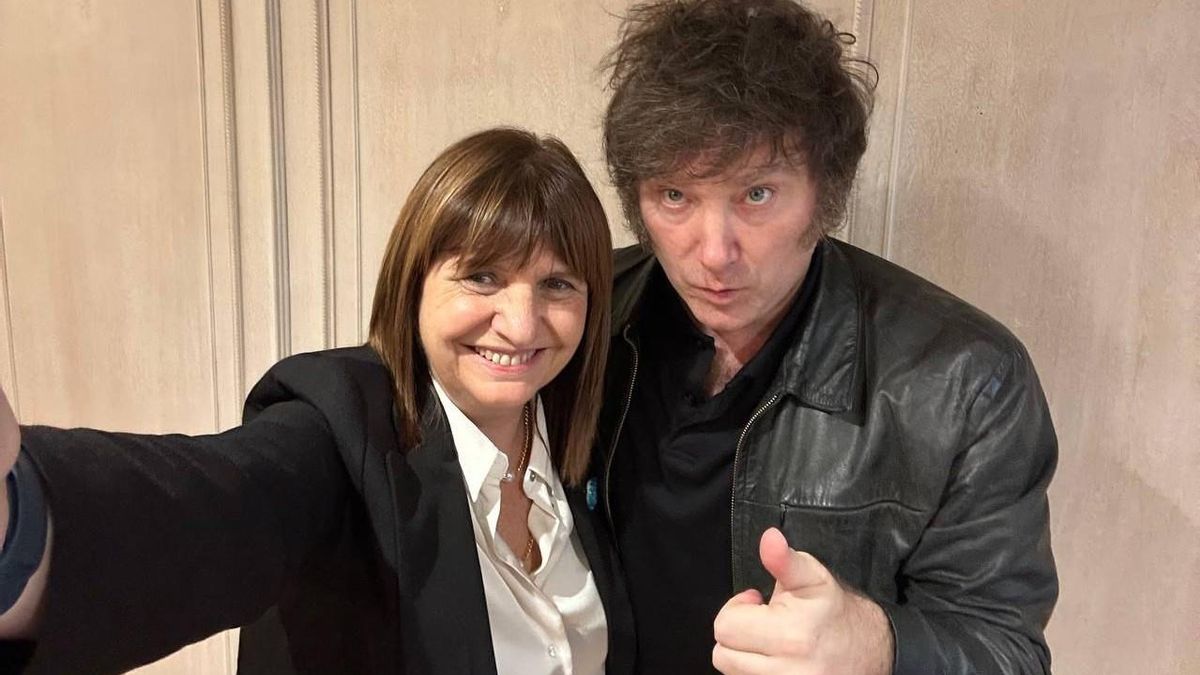 Bullrich y Milei.