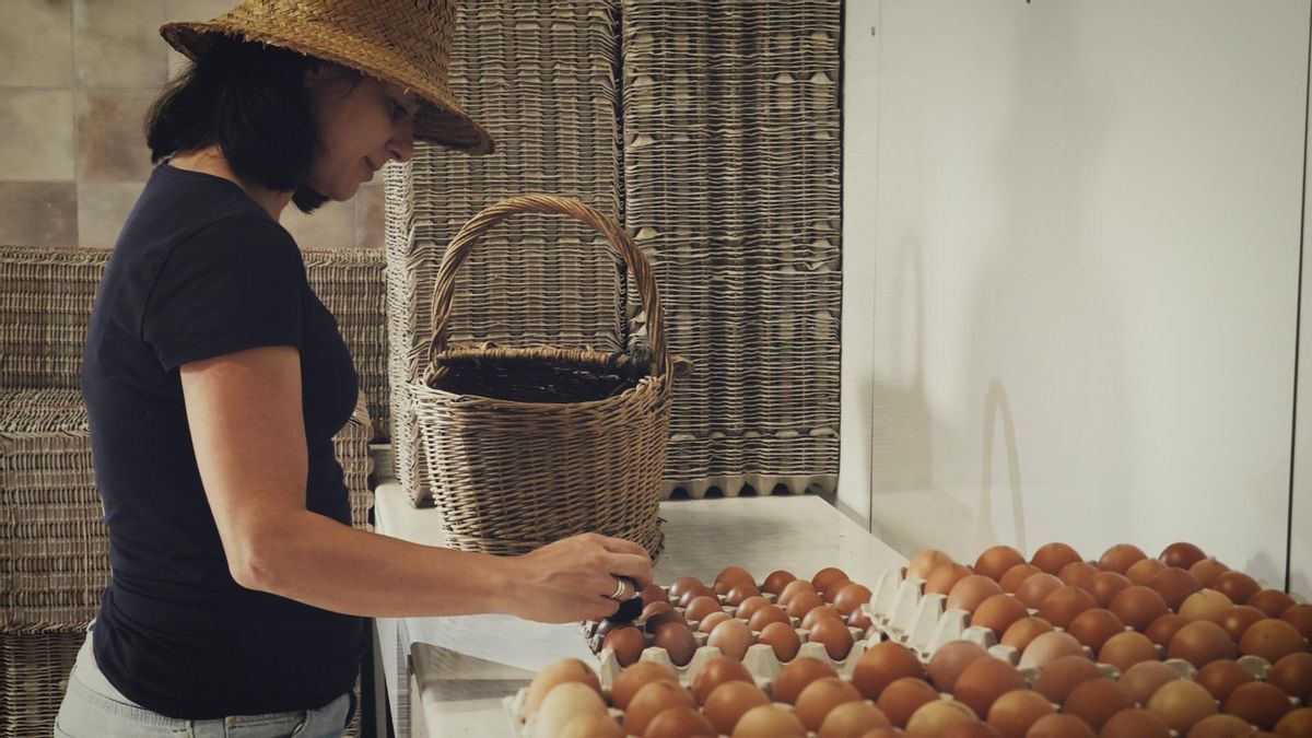 Huevos ecológicos de La Trompicona, la granja familiar a menos de media hora de León.