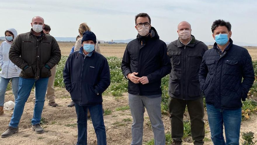 Visita a las parcelas dañadas