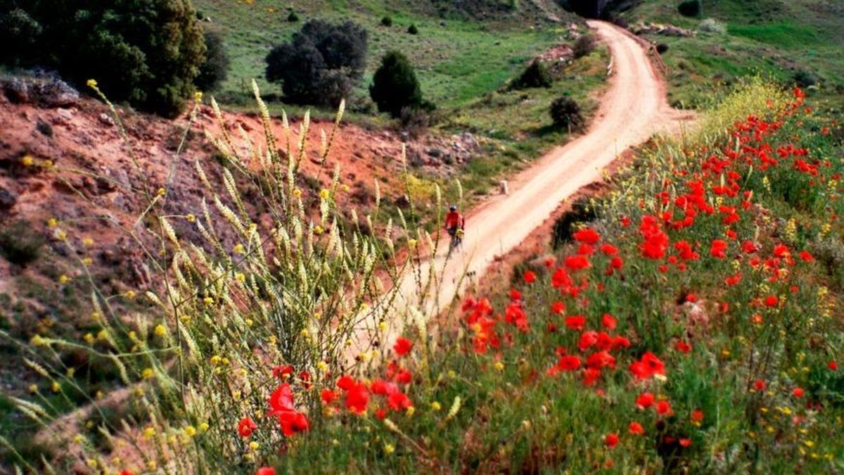 Vía Verde del Renacimiento (Sierra de Alcaraz)