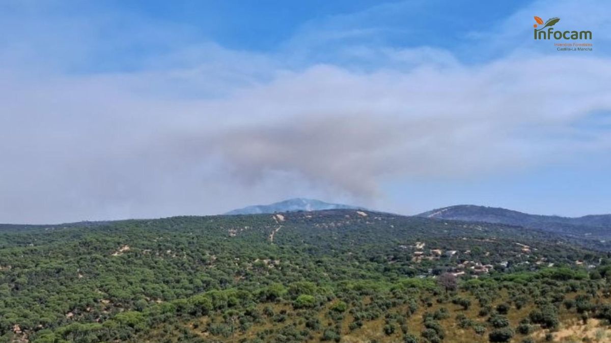 El frente del incendio del Valle del Tiétar en la zona toledana está casi "consolidado y perimetrado": "A unos 200 metros"