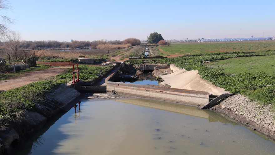 Efluente de la depuradora