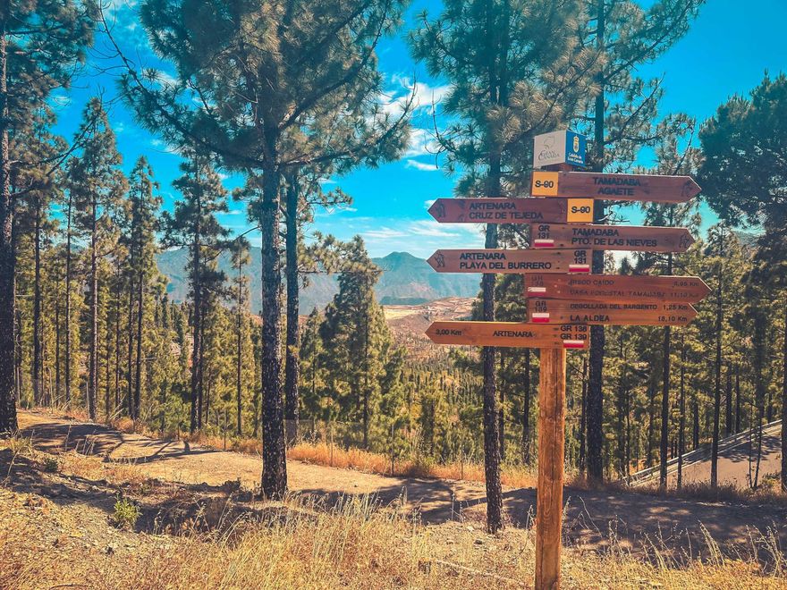 Ruta 1 - Artenara entre pinares con historia.