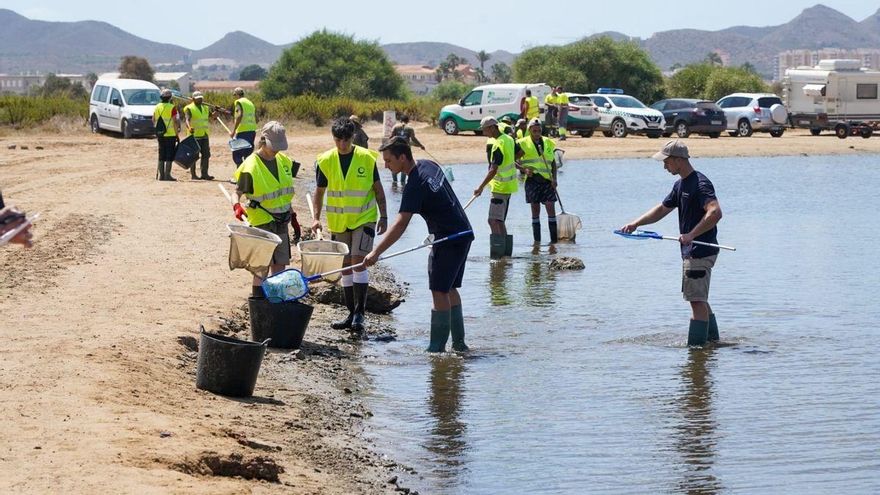 Archivo - Vuelven a abrir al baño tras su limpieza seis de las playas afectadas por la aparición de peces muertos en el Mar Menor