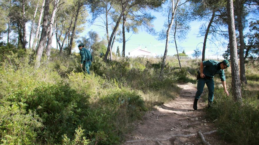 Agentes de la Guardia Civil en una zona donde la red actuó