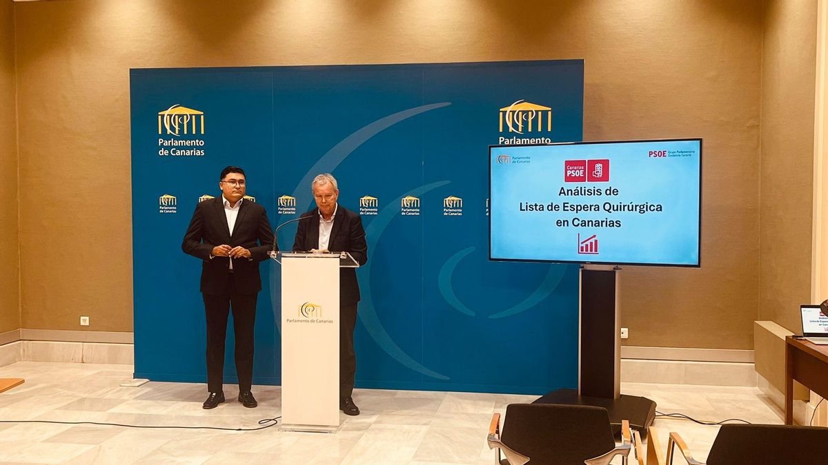 El portavoz del Grupo Parlamentario Socialista, Sebastián Franquis, y el portavoz de Sanidad, Miguel Ángel Pérez del Pino, en la rueda de prensa ofrecida este lunes.