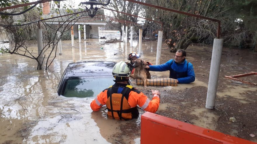 Rescate de un hombre y sus siete perros en una finca del municipio de Milagro