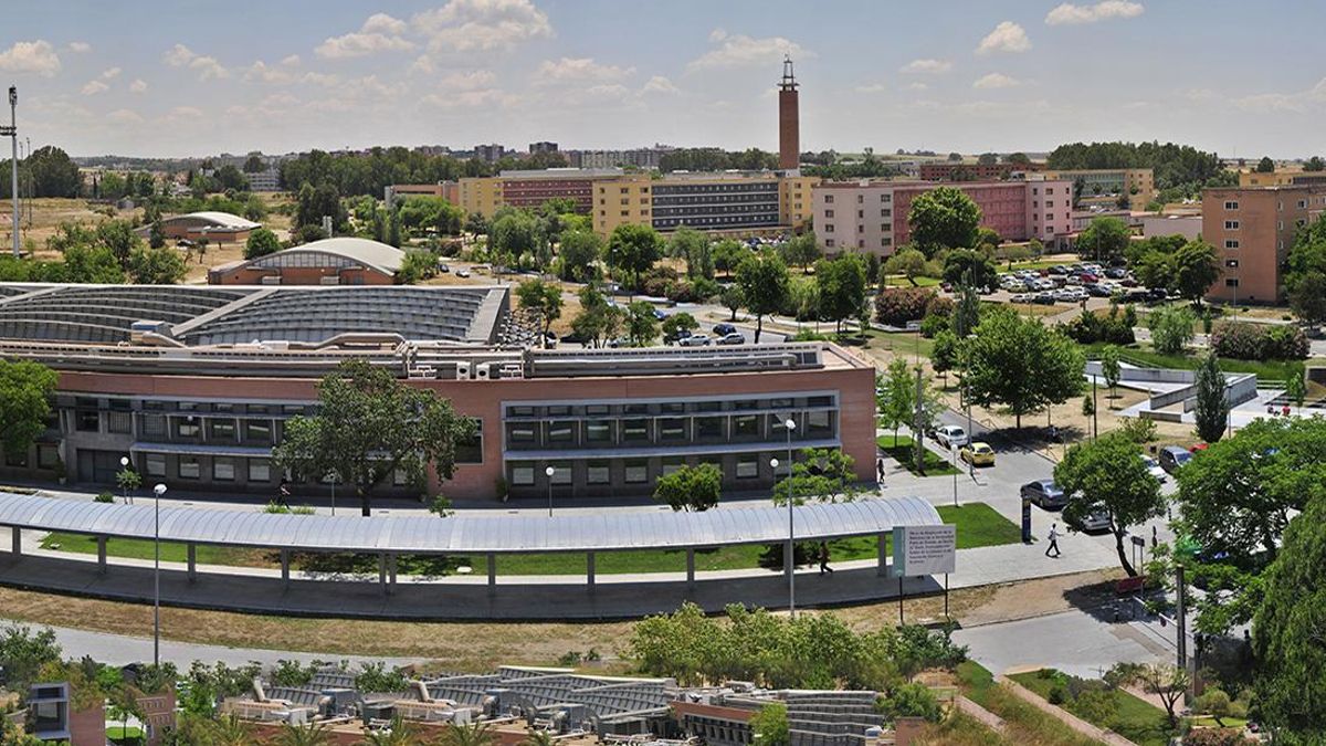 La Universidad Pablo de Olavide refuerza su oferta académica con grados duales y menciones de especialización para el próximo curso