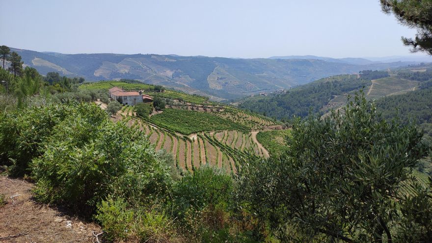 Trás-os-Montes: en bicicleta por la histórica provincia portuguesa, con sus viñedos, ríos y paisajes
