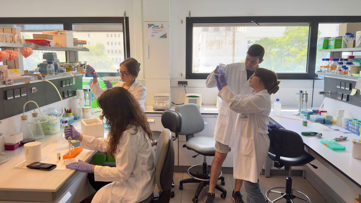 Investigadores cordobeses descubren un nuevo mecanismo clave para el tratamiento del cáncer de pulmón