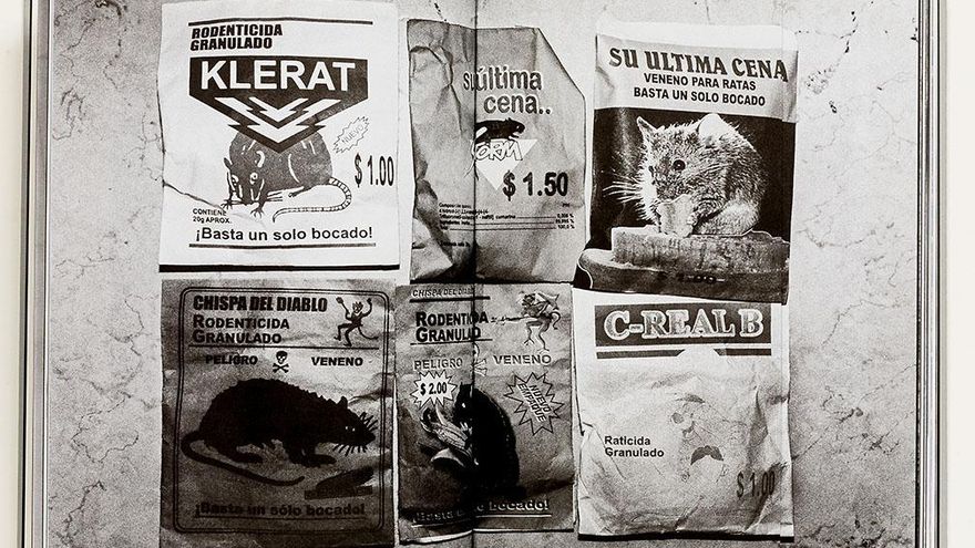 Laia Abril, Premio Nacional de Fotografía 2023: "No romantizo la fotografía, me importan las historias"