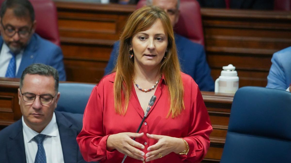 La consejera de Presidencia, Administraciones Públicas, Justicia y Seguridad del Gobierno de Canarias, Nieves Lady Barreto
