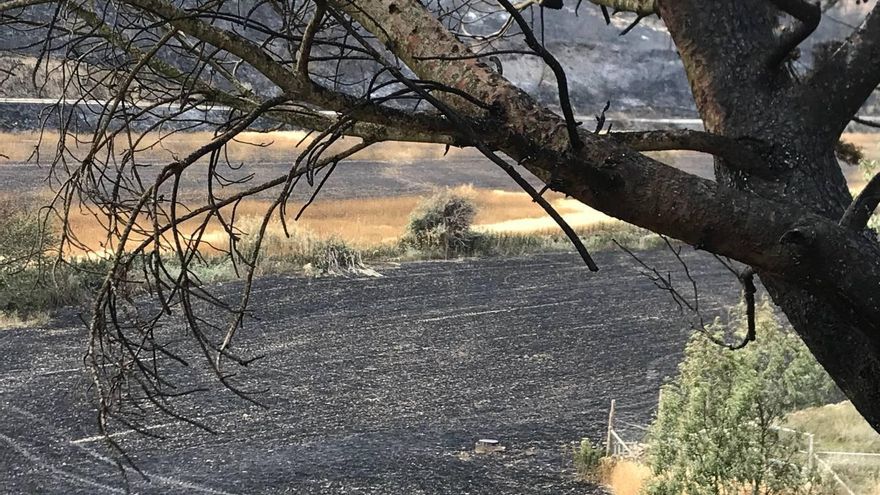 Paisaje de Legarda completamente calcinado.