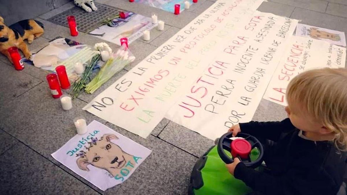 El policía de Barcelona que mató de un tiro a la perra Sota y su dueño cierran el caso gracias a la mediación