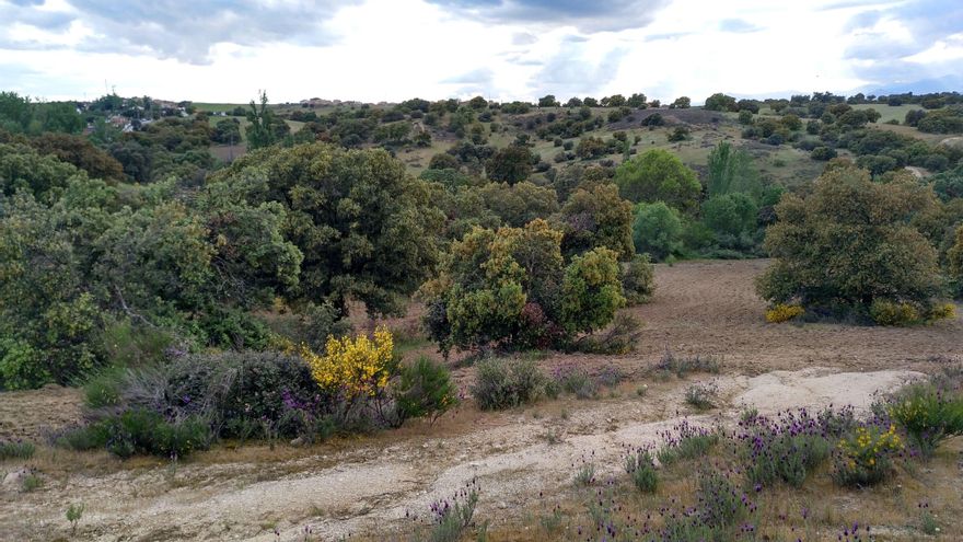 Campos de Méntrida, en Toledo