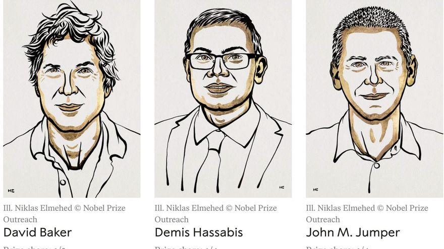 Premio Nobel de Química de 2024 para los científicos que diseñan y predicen la estructura de las proteínas