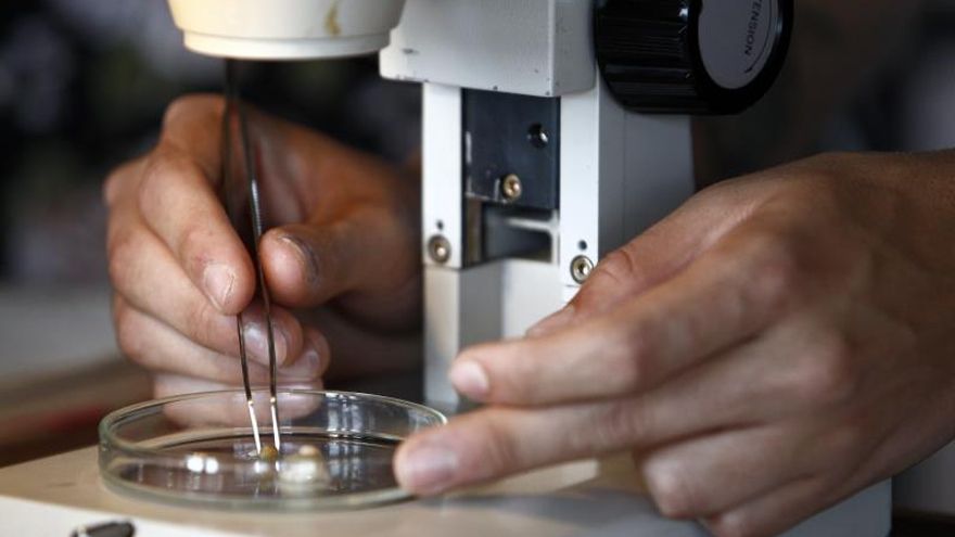 Un estudiante manipula una muestra de laboratorio.