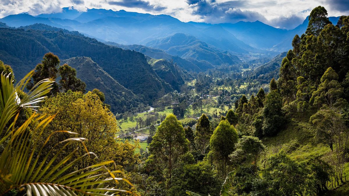 Un viaje al Eje Cafetero de Colombia: Salento y el Valle de Cocora