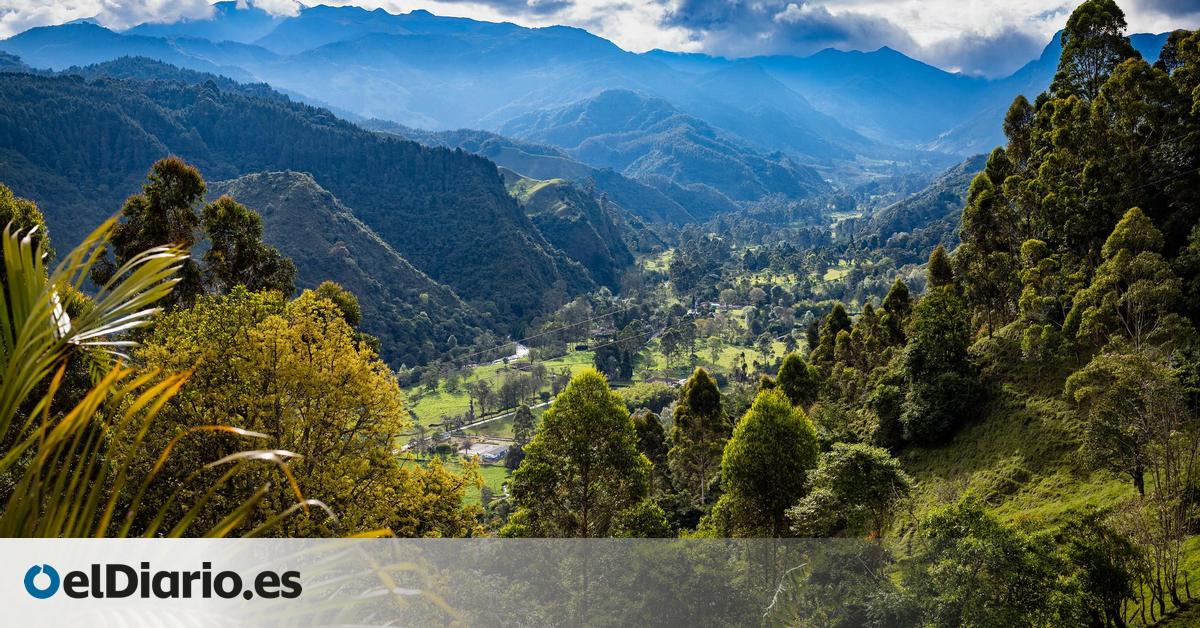 Un viaje al Eje Cafetero de Colombia: Salento y el Valle de Cocora