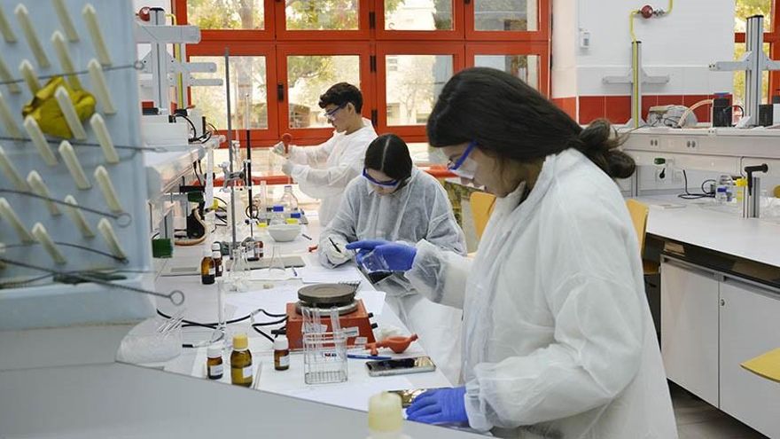 Mil profesores de 53 universidades piden a la ministra que investigue los casos de malas praxis en la investigación