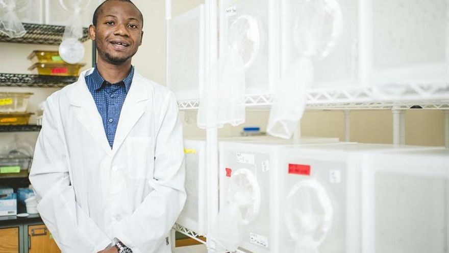 Un hallazgo genético abre la puerta a los repelentes de mosquitos súper eficaces