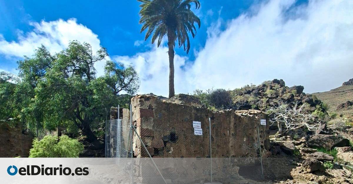 La Policía Canaria interviene tras varios actos vandálicos y expolio en los Molinos de Samarín