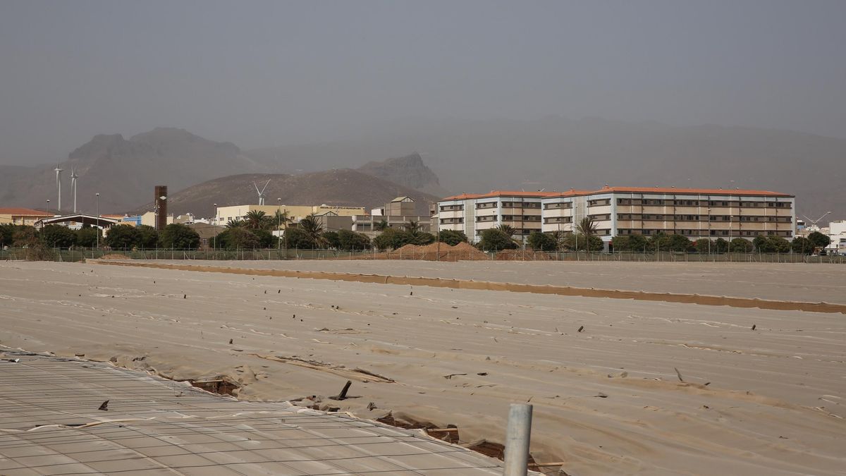 Continúa la calima en Canarias este viernes con un viento moderado