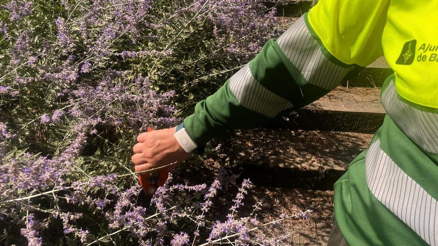 Barcelona estrena pulseras para medir el calor de los operarios al aire libre: "Están bien pero se quedan cortas"
