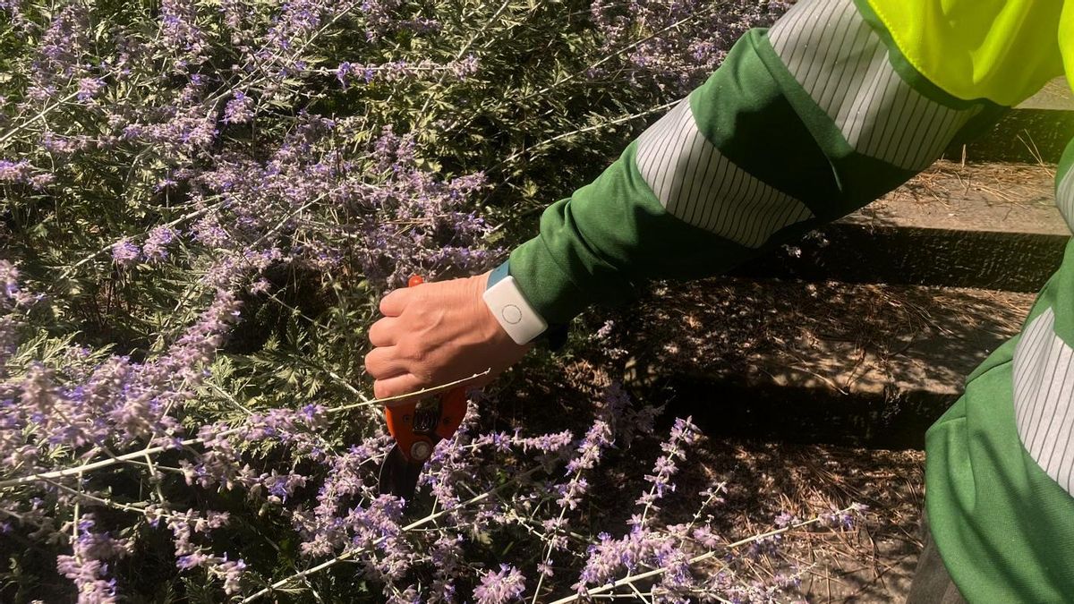 La pulsera de una de las trabajadoras de Parques y Jardines