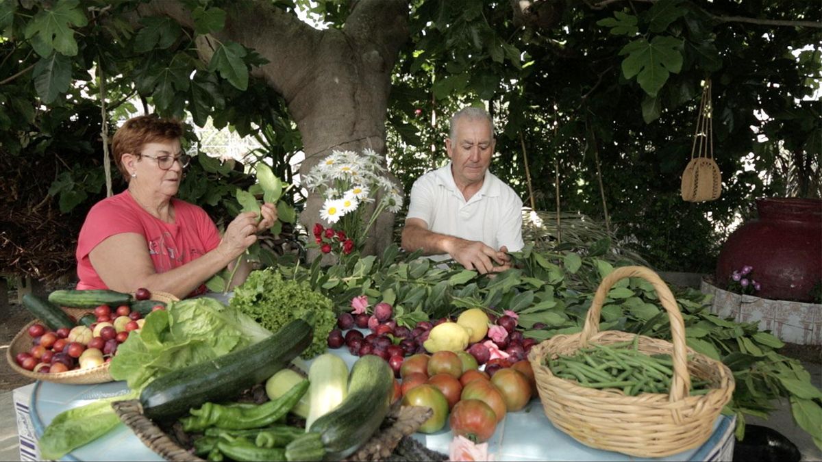 Fotograma de una huerta doméstica en La Ñora en el documental '¿Dónde está mi acequia? Anatomía forense de una ciudad' de Joaquín Lisón