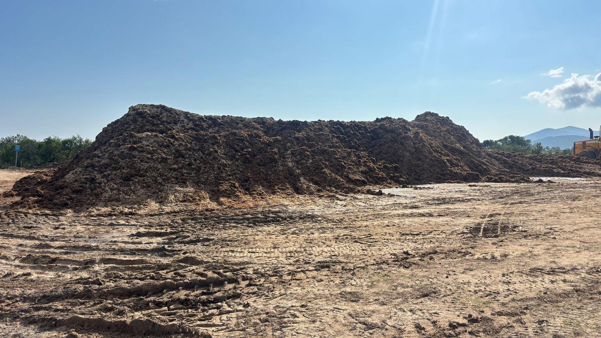 El  Instituto de Hidráulica Ambiental de Cantabria confirma que las algas de Castro Urdiales sí son asiáticas