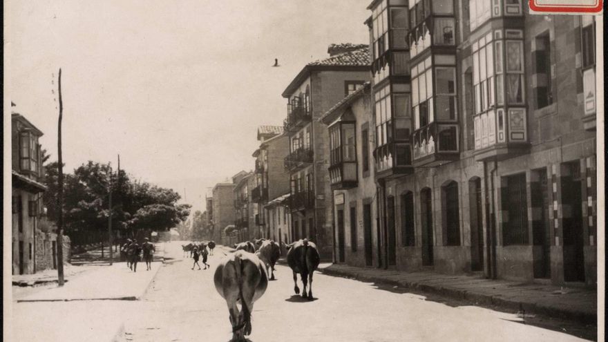 "Reinosa. Calle de Canalejas, con ganado que regresa a sus establos".