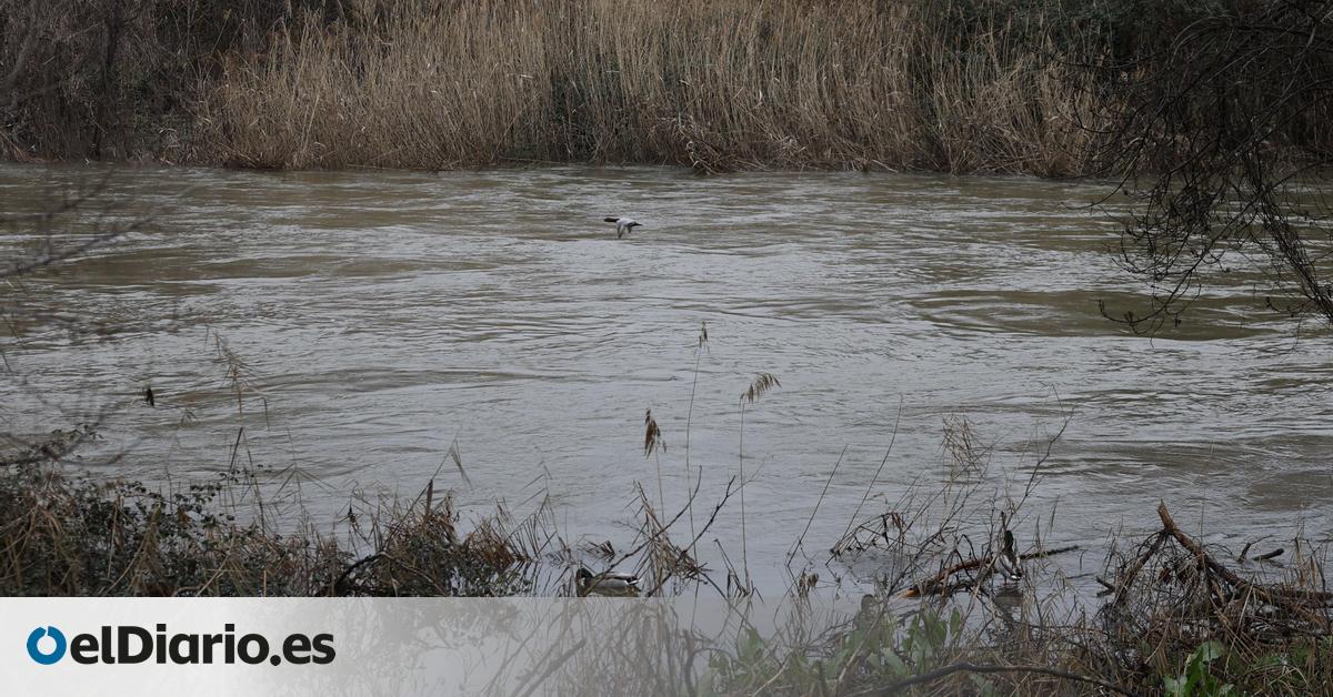 Castilla-La Mancha manda un Es-Alert a Seseña por el elevado nivel en el cauce del río Jarama