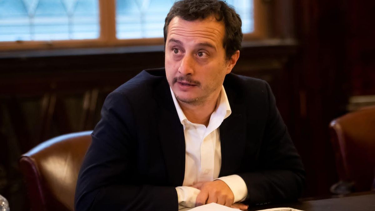 Schiavi: "Quieren achicar la Democracia, que vayamos a votar menos y con una elección más cara"