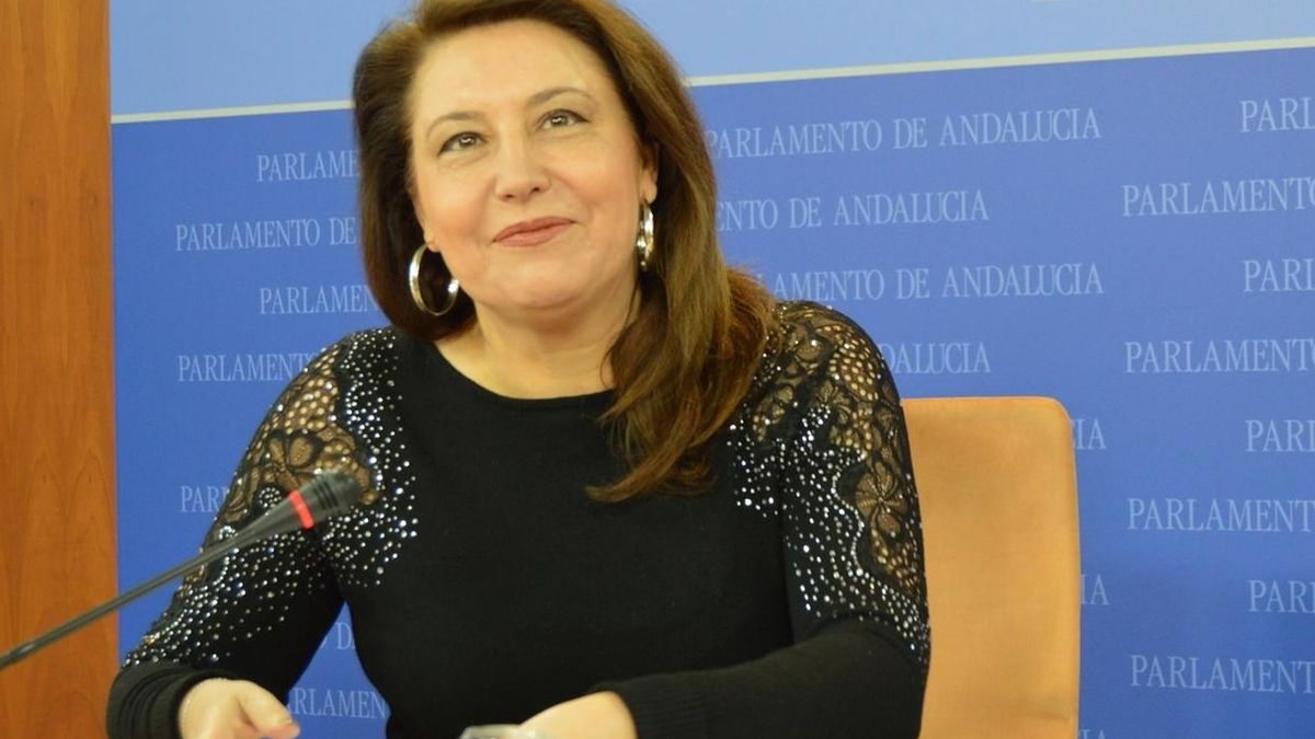 PP-A pide a la Junta que retire el decreto de Escuelas Infantiles y negocie otro con recursos económicos "suficientes"