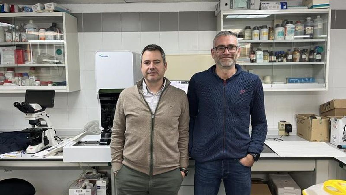 Los investigadores y autores del trabajo Francisco Javier Mendoza García y Alejandro Pérez Écija.