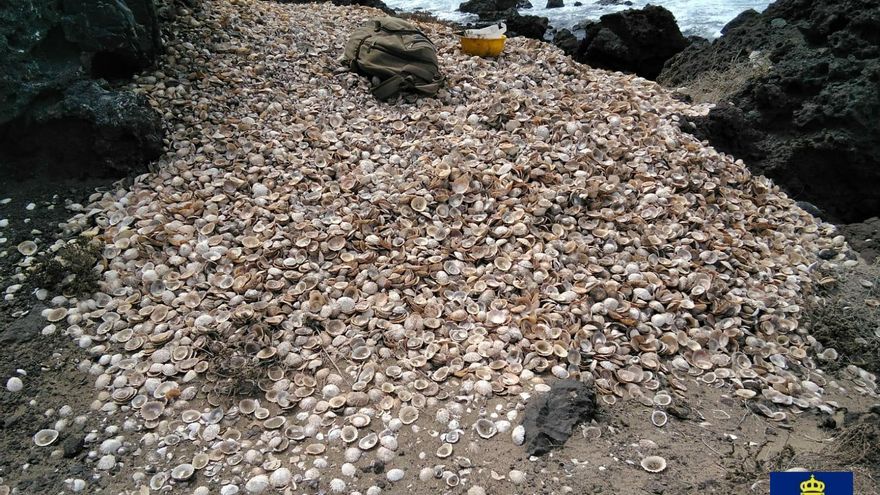 El Cabildo de Gran Canaria retira 950 kilogramos de residuos en el espacio protegido de Punta de las Arenas