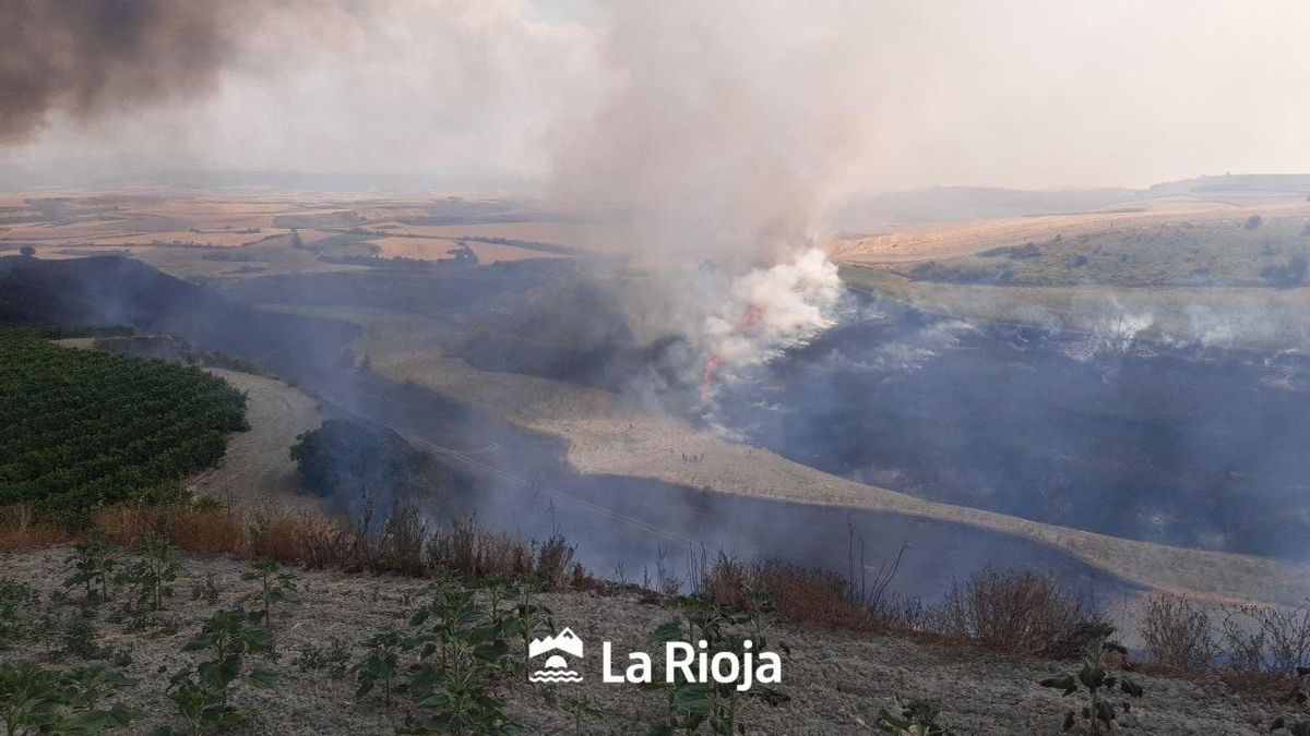Incendio agrario en Treviana