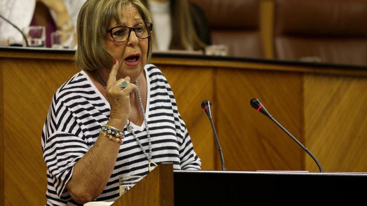 Junta da su "compromiso de mejorar la climatización" de los colegios y Cs urge medidas para que ésta "no sea un lujo"