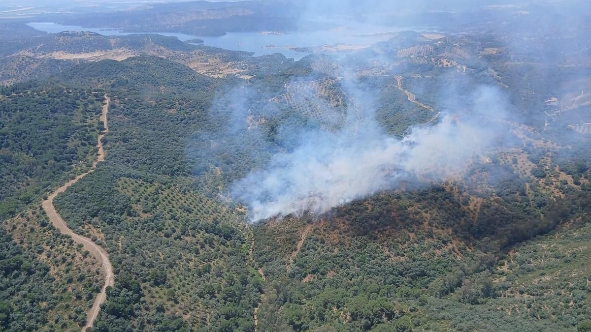 Declarado un incendio forestal en Adamuz