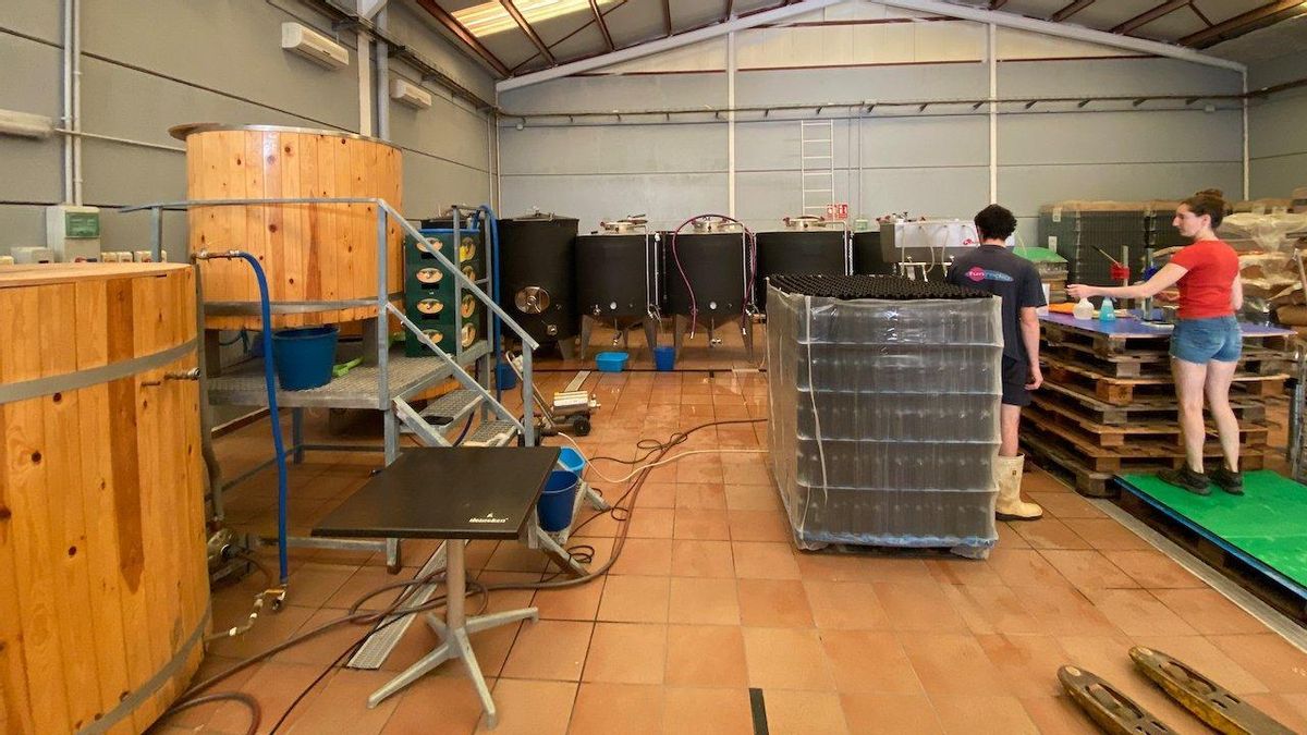 Las cooperativas valencianas refuerzan el tejido productivo con compromiso social.