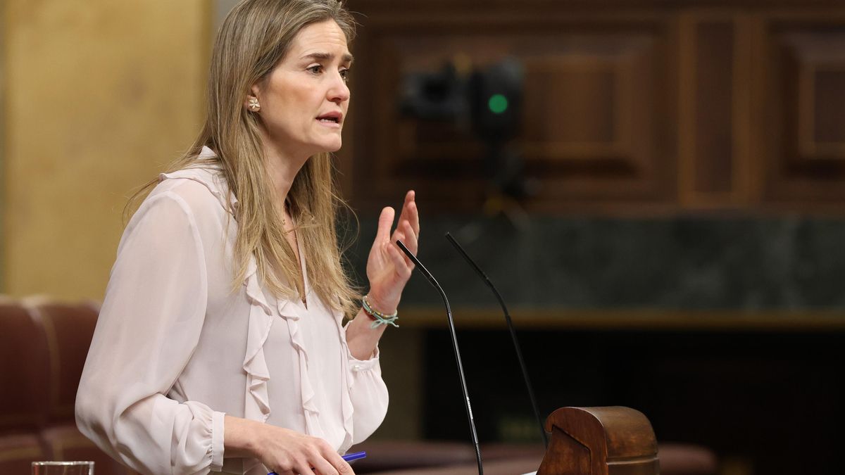 La ministra Aagesen asegura que ya se analiza la documentación de Forestalia para enviarla a la Justicia