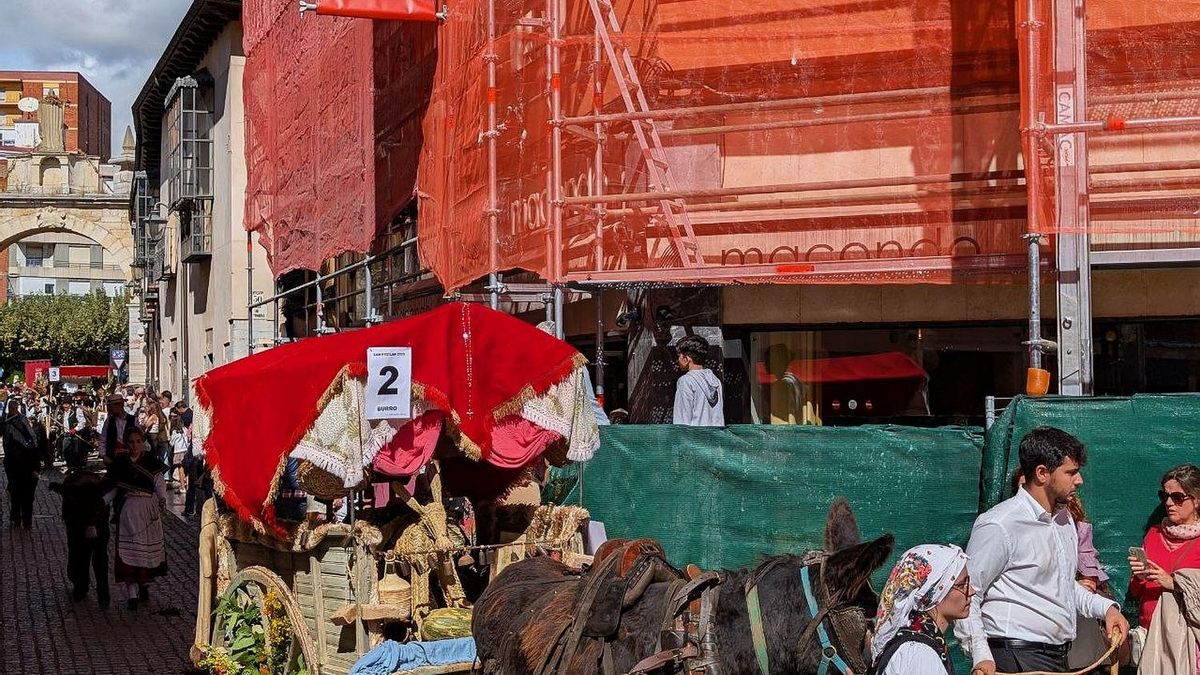 Pendones y Carros Engalanados en las Cantaderas 2026 de San Froilán