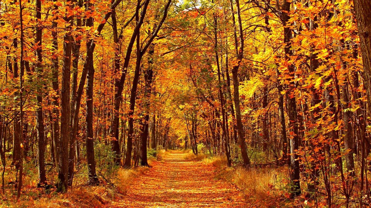 El Otoño y la Hispanidad