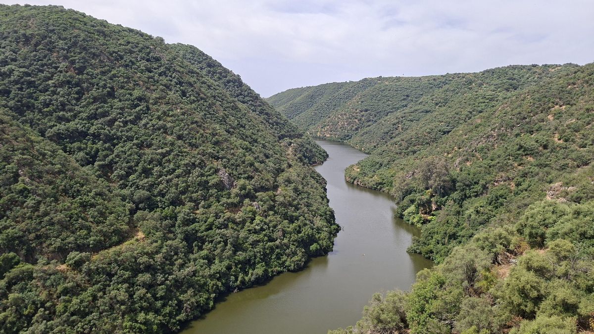 Bajo los cielos del buitre negro y sobre los únicos 'fiordos' de Andalucía