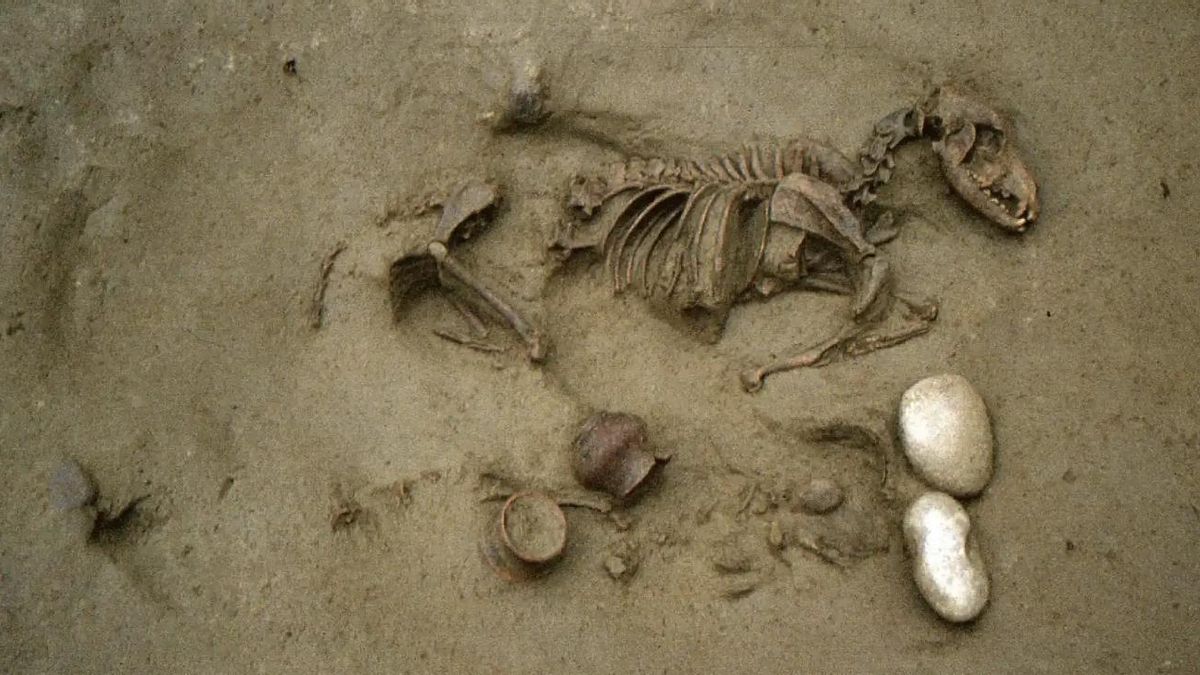 Imagen de una necrópolis prerromana