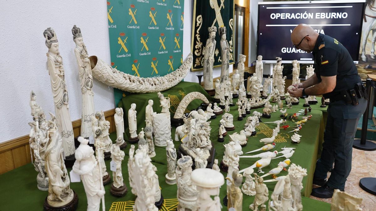 Vista general de las piezas intervenidas en la operación "Eburno" llevada a cabo por el Seprona de Valencia, la mayor incautación de piezas de marfil en España.
