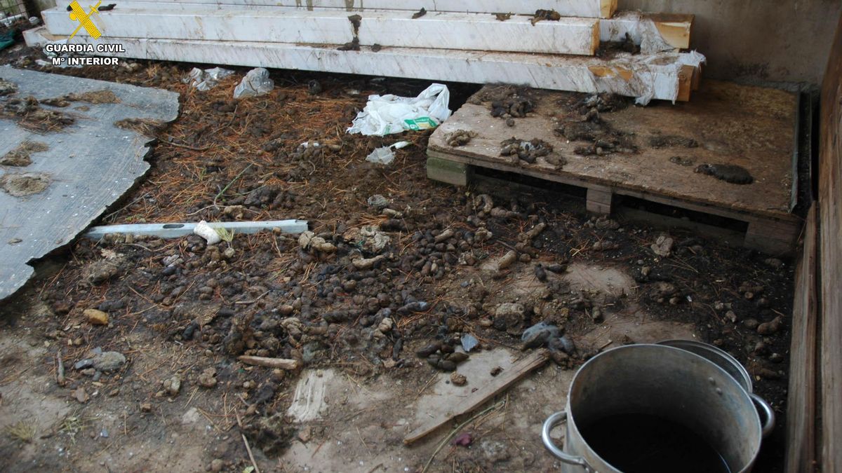 La parcela está en Albelda de Iregua en La Rioja